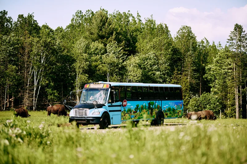 Visite guidée en autobus au Parc Omega