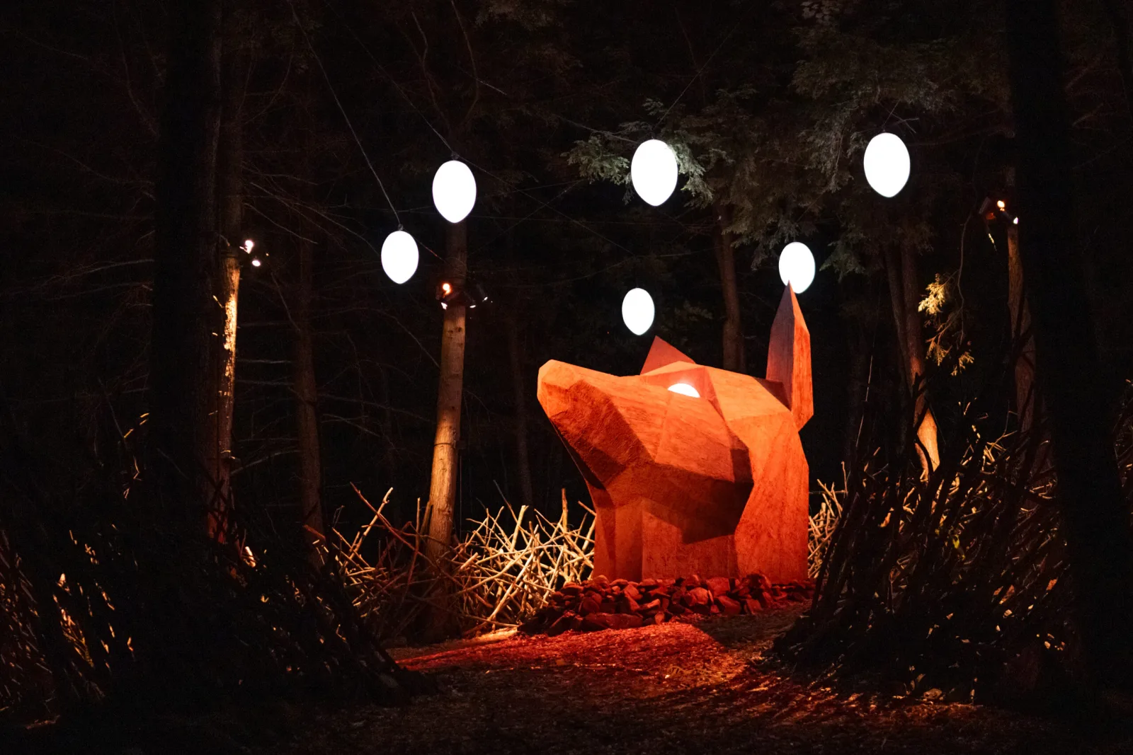 Expérience nocturne ONIRO dans la forêt