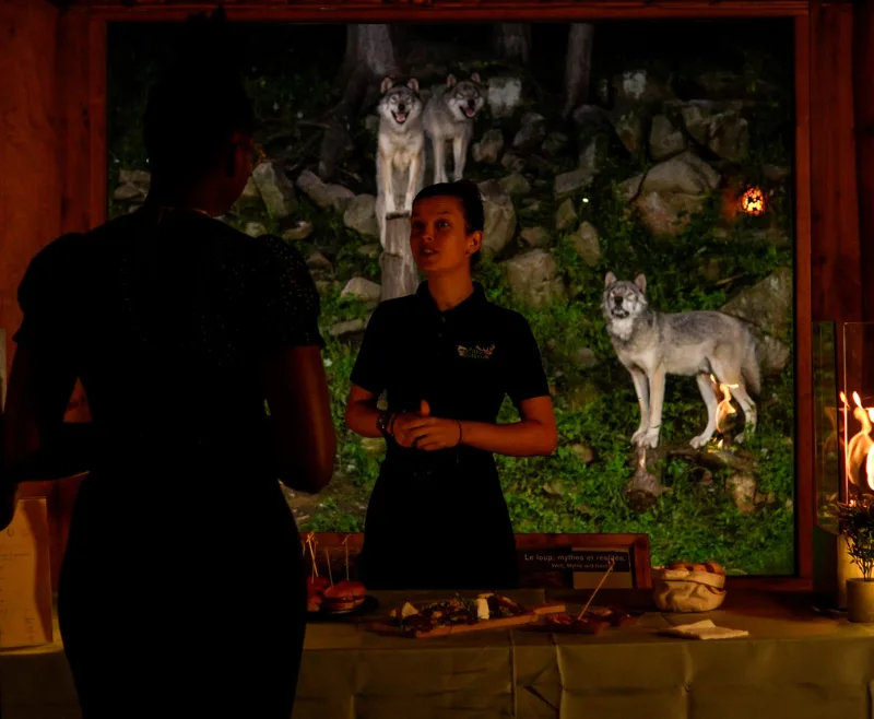 Cocktail à l’observatoire des loups