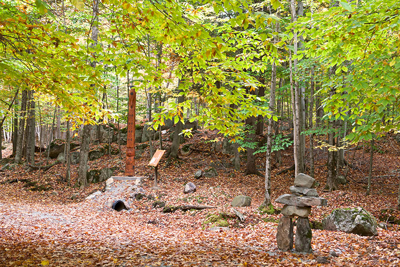 Sentier pédestre au lac des Truites