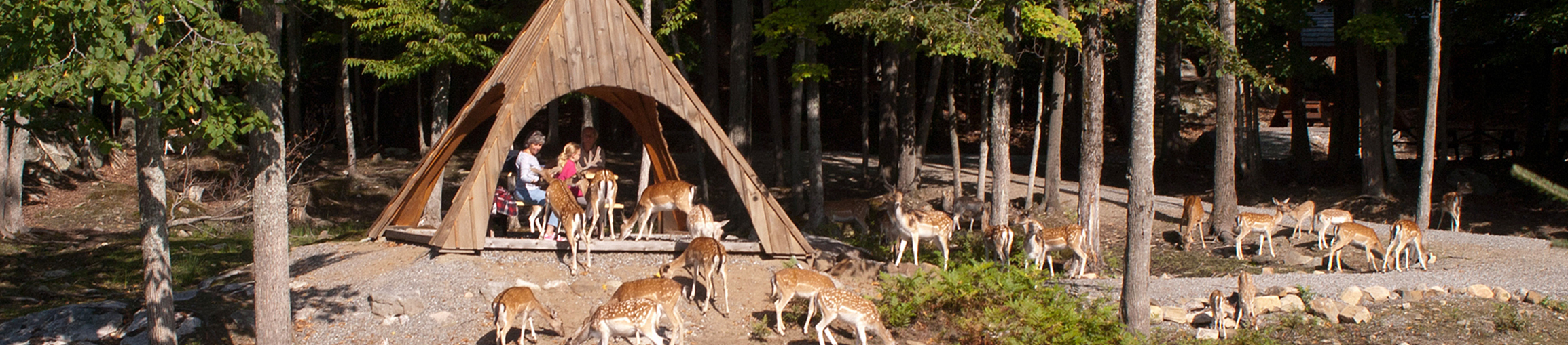 Sentier des Nations au Parc Omega