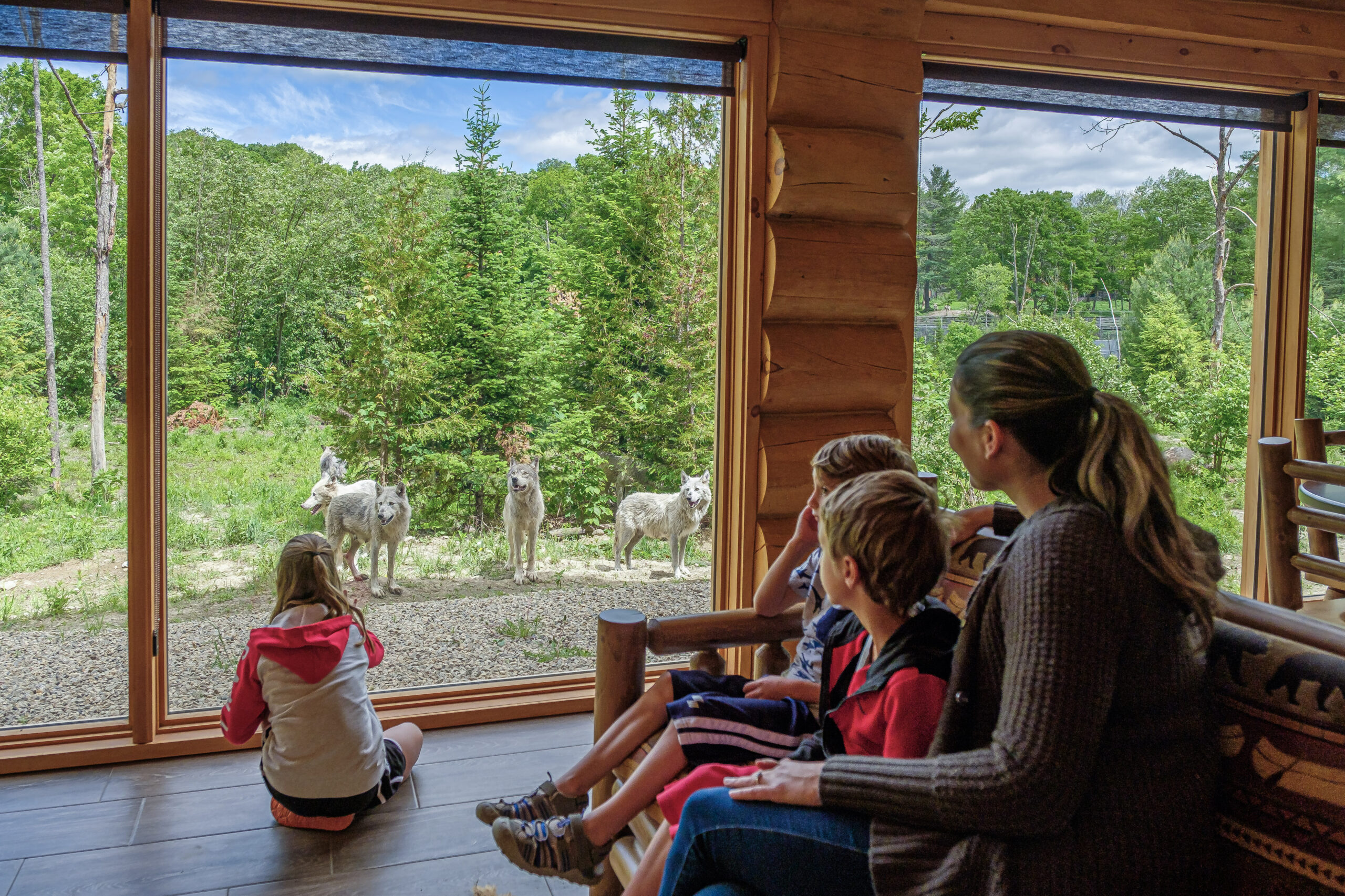Hébergement au Parc Omega