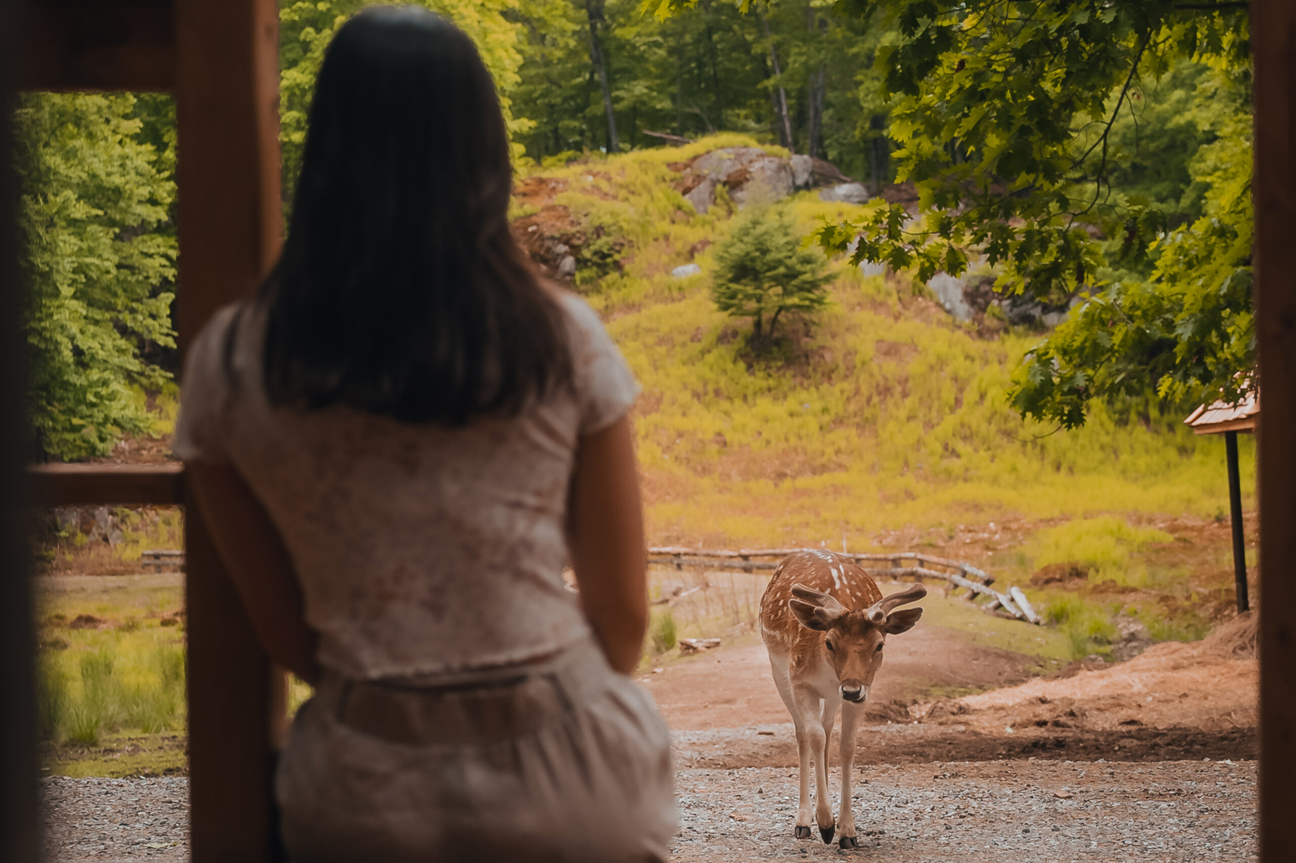 Hébergement au Parc Omega