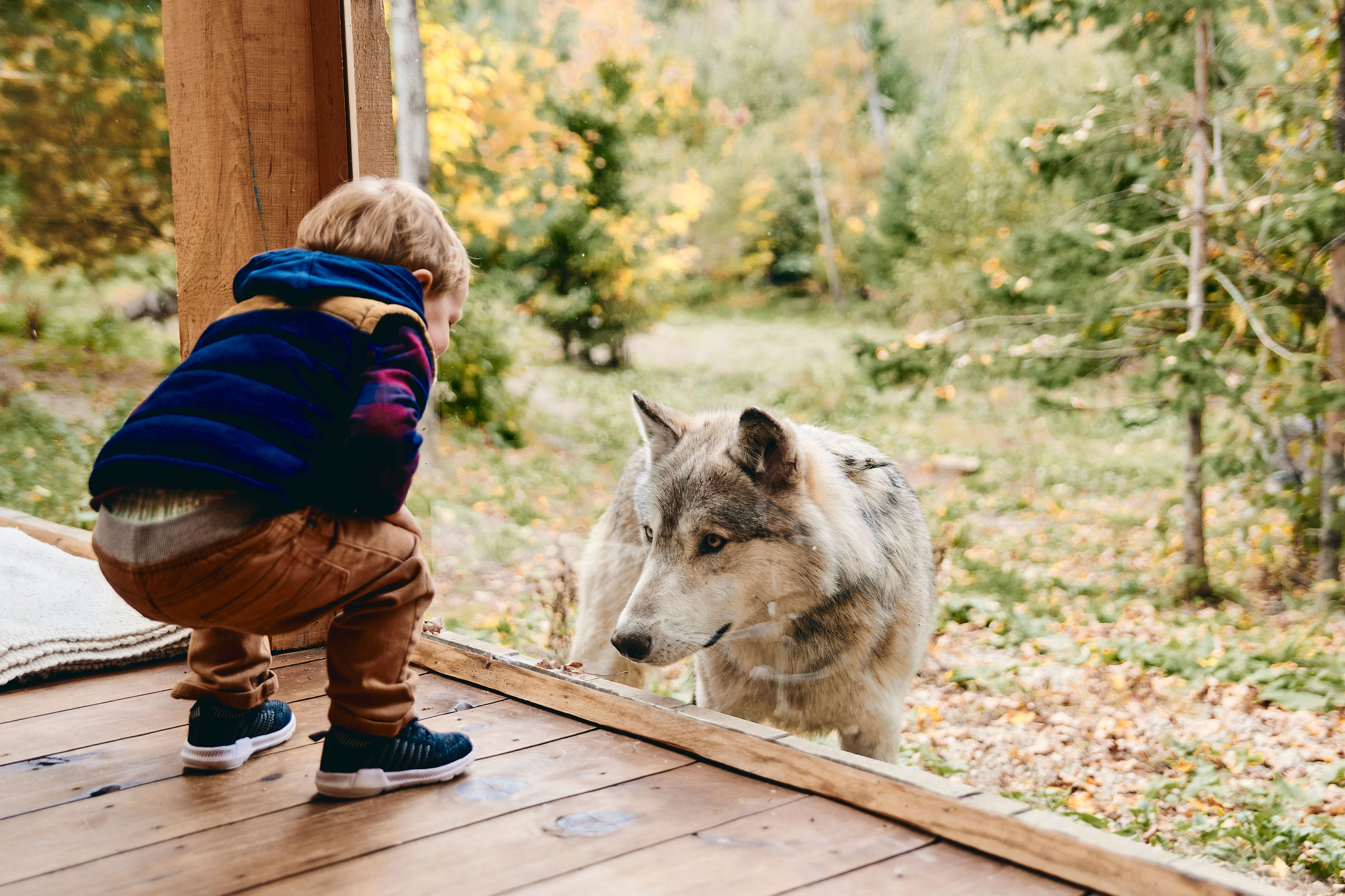 Lodge des loups — 4 personnes