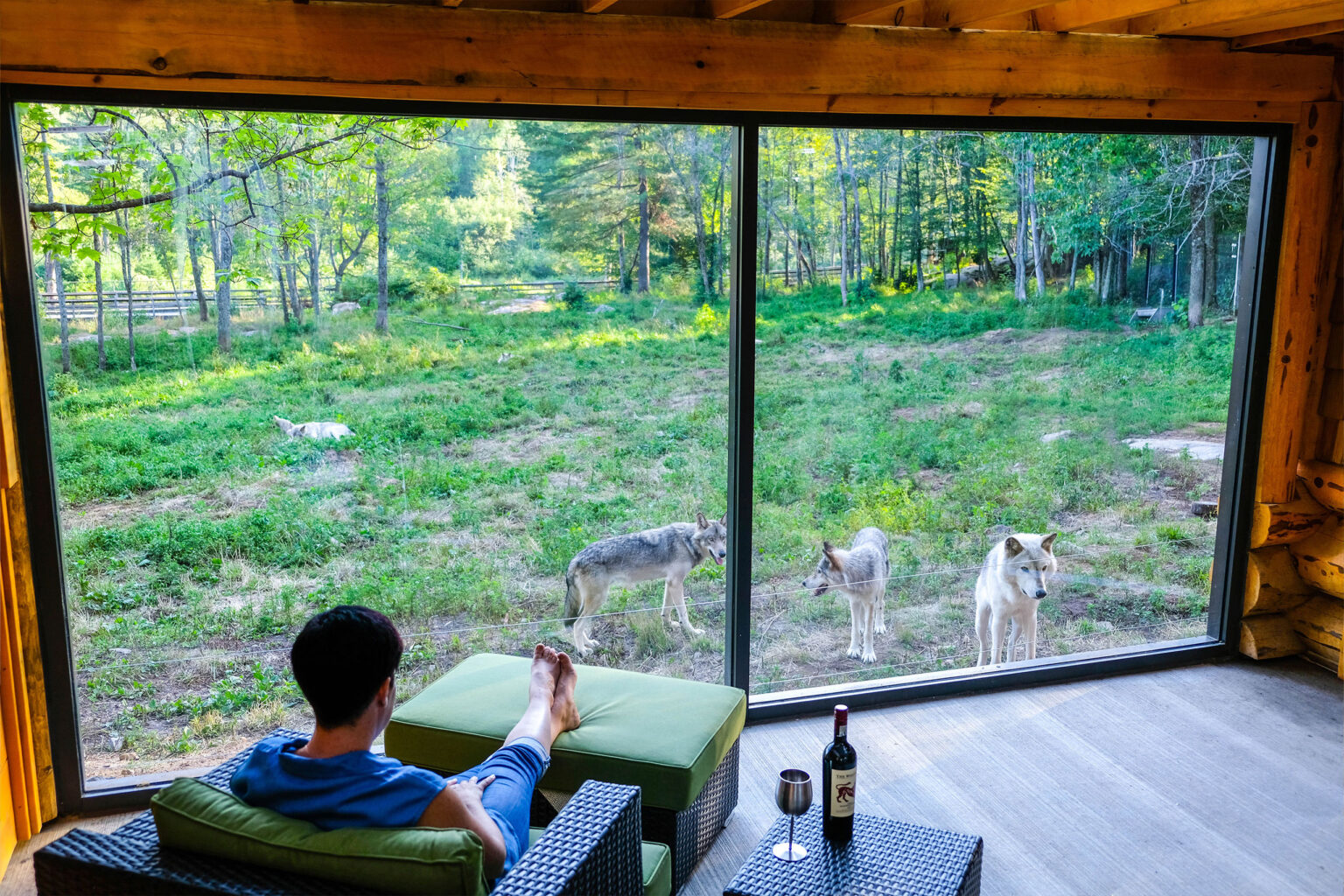 Lodge des loups au Parc Omega