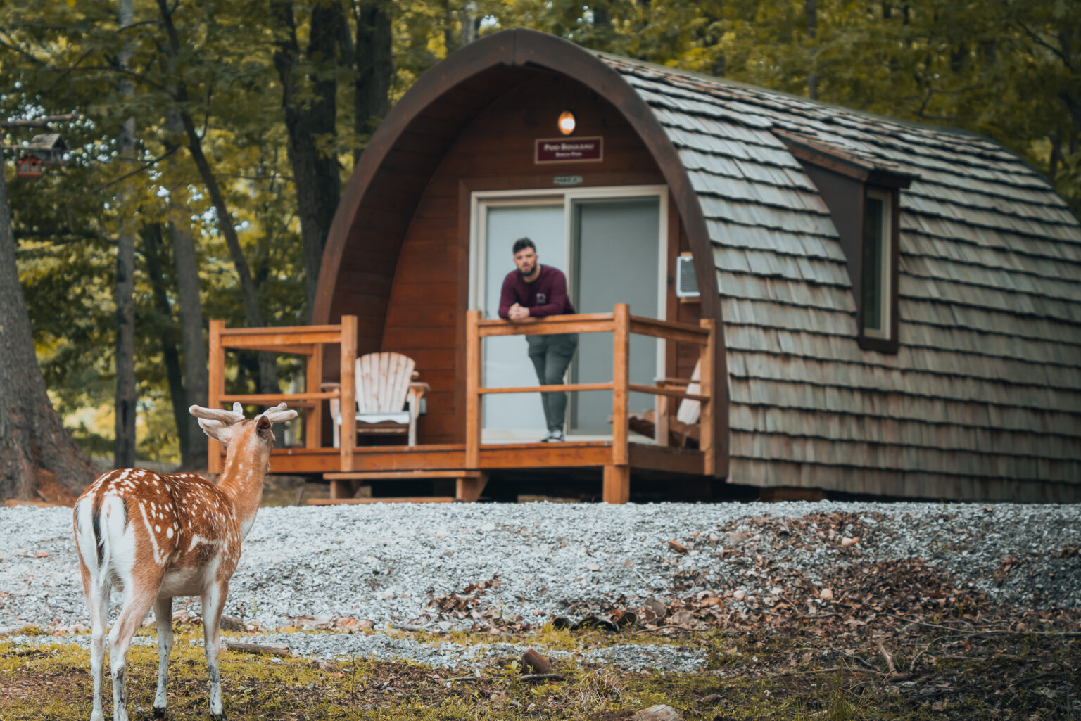 Chalet panoramique au Parc Omega