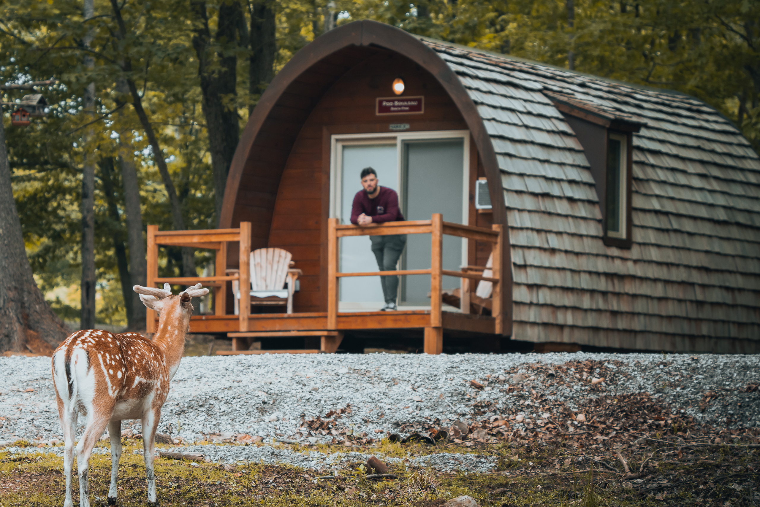 Hébergement au Parc Omega