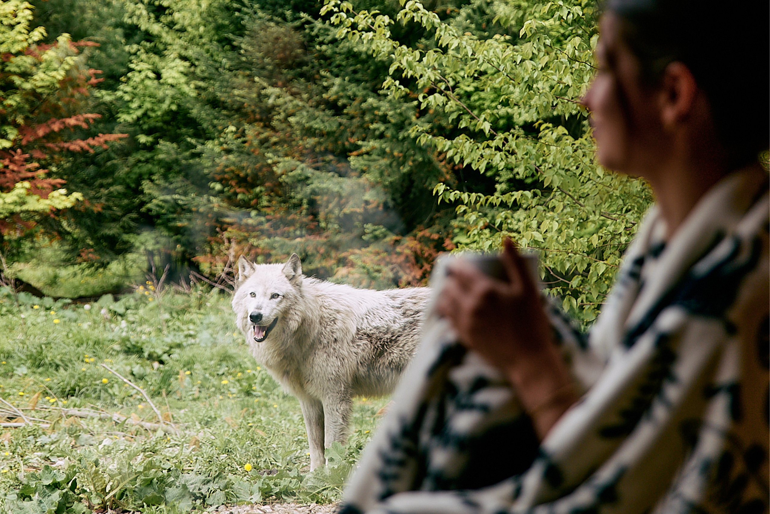 Hébergement au Parc Omega